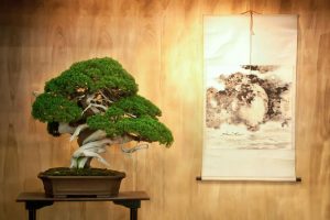 5 consejos para una decoración japonesa exitosa