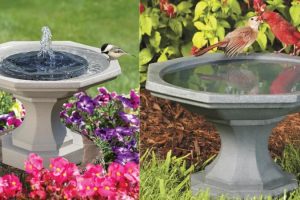 Colocar un bebedero para pájaros en el jardín