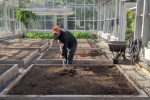 ¿Qué suelo para un invernadero de jardín?