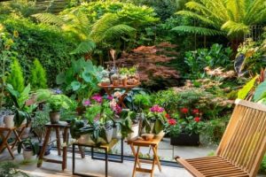 Jardín: todos los consejos para tener un exterior exótico