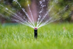 ¿Cómo ahorrar agua al regar el jardín?
