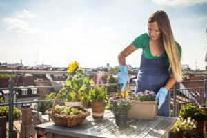Jardinería de temporada: nuestros consejos en mayo