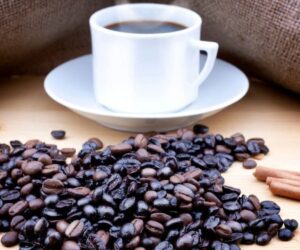 ¿Qué alimentos contienen cafeína?