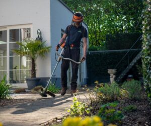 corte-mulching-una-tecnica-de-jardineria-eficiente